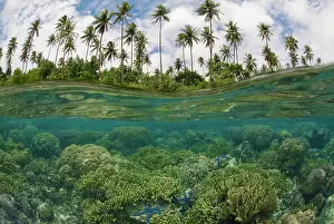 Level: South Pacific, Solomon Islands. Camera held