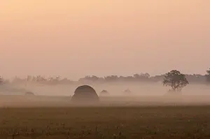 Desman: South Russia - sunrise over a flood-plain of river Ural
