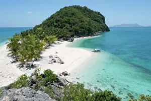 Nucifera: South Sea island, Cabugao Gamay Island, Philippines