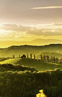 Wine: South styria vineyards landscape panorama, near