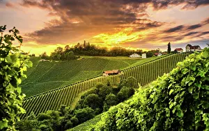 Wine: South Styria Vineyards landscape in Sulz Austria