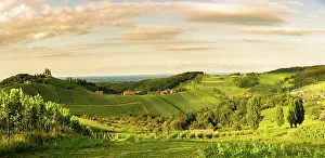 Wine: South styria vineyards panorama landscape, Sulztal