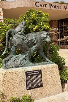 Pedestal: South Table Mountain National Park, Cape