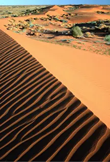 Arty: Southern Australia - Strzelecki Desert, sand dunes