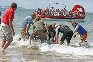 Rescues: Sowerby's Beaked Whale - found stranded on Blakeney Point