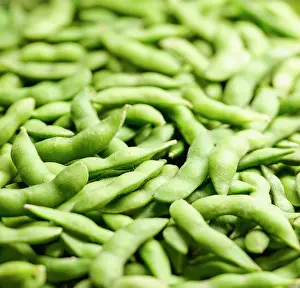 Glycine: Soybean, Glycine max, A mass of pods of Edaname
