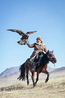 Trains: Spai Bashakan trains his female eagle, Olgii, Mongolia