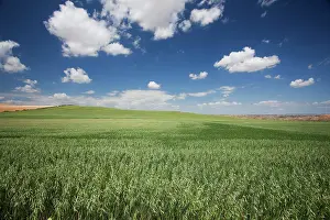 Aragon: Spain - Agricultural landscape. Aragon