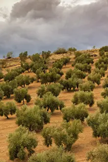 Provincia: Spain, Andalucia Region, Jaen Province