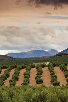 Provincia: Spain, Andalucia Region, Jaen Province