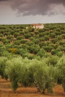 Provincia: Spain, Andalucia Region, Jaen Province