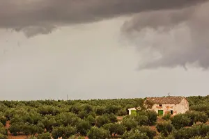 Provincia: Spain, Andalucia Region, Jaen Province