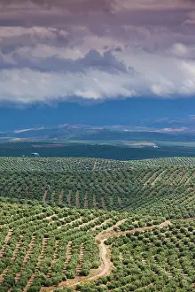 Provincia: Spain, Andalucia Region, Jaen Province
