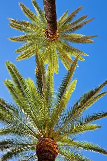 Provincia: Spain, Andalucia Region, Seville Province