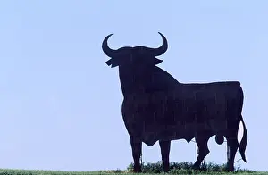 Signs: Spain, Andalusia - Bull cut-out