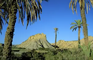 Ridges: Spain - Bare ridges of eroded sandstone and palm