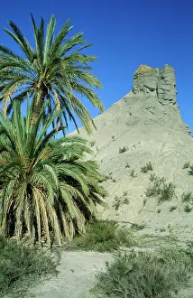 Ridges: Spain - Bare ridges of eroded sandstone and palm