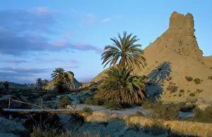 Ridges: Spain - Bare ridges of eroded sandstone and palm