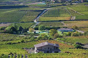 Walter: Spain, Basque Country Region, La Rioja Area