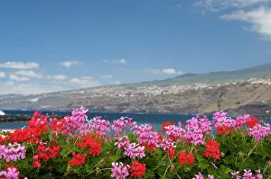 Islas: Spain, Canary Islands, Tenerife. City of