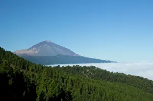 Negative: Spain, Canary Islands, Tenerife. Las Canadas