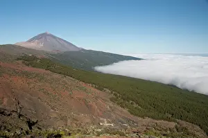 Negative: Spain, Canary Islands, Tenerife. Las Canadas