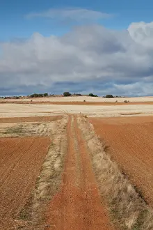 Iberia: Spain, Castilla y Leon Region, Zamora Province