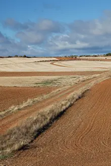 Iberia: Spain, Castilla y Leon Region, Zamora Province