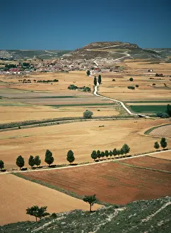 Barnes: Spain, Castrojeriz, Castilla (Large format