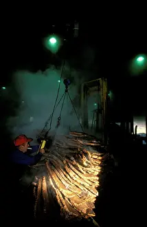 Commerical: Spain - In a cork factory at Cortes de la Frontera: