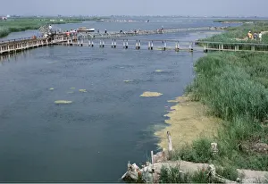 Nancy Jennings: SPAIN - EBRO DELTA