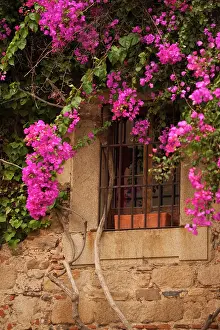 Walter: Spain, Extremadura Region, Caceres Province