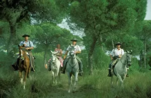 Pilgrimage: Spain - During a famous Pentecost pilgrimage some