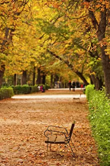 Madrid: Spain, Madrid, Parque del Buen Retiro park