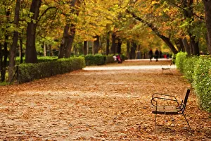 Madrid: Spain, Madrid, Parque del Buen Retiro park