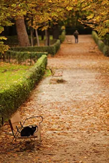 Madrid: Spain, Madrid, Parque del Buen Retiro park