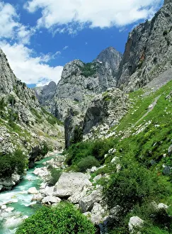 Picos: Spain - Picos De Europa, limestone Rio Cares Gorge