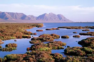 Cabo: SPAIN - Saltmarshes against the background of the