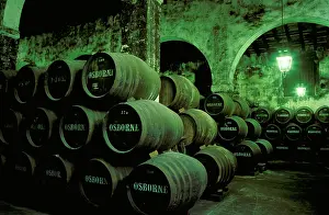 Stacked: Spain - Stacked oak barrels in one of the cellars