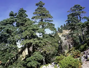 Firs: Spanish FIR