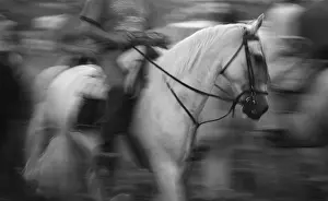 Andy Teare: Spanish horse and rider