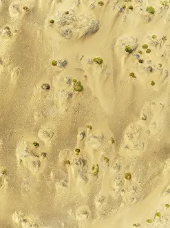 Thomas Dressler: Sparse desert vegetation, mainly Salsola species