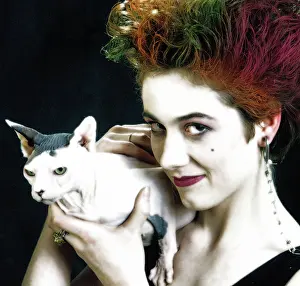 Punk: Sphynx CAT - with punk