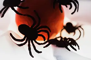 Scary: Spiders and light