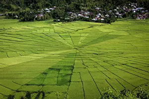 Flores: Spiderweb rice paddies, Cancar, Flores, Nusa Tenggara T