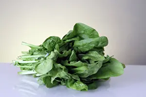 Spinach: Spinach