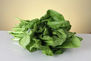 Spinach: Spinach