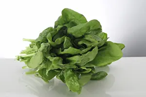 Spinach: Spinach