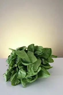 Spinach: Spinach
