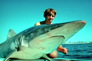 Surfing: Spinner Shark - Dead. This shark was taken from